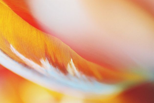 Dieses Bild ist eine Auswahl für die gallery von Renate Holthaus.