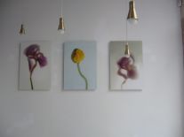 P1040804