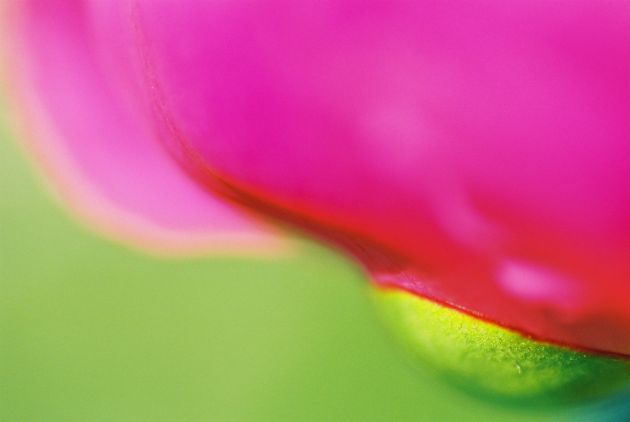 Dieses Bild ist eine Auswahl für die gallery von Renate Holthaus.