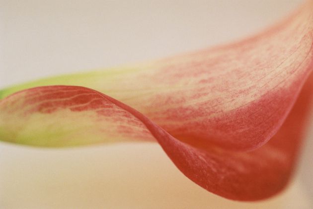 Dieses Bild ist eine Auswahl für die gallery von Renate Holthaus.