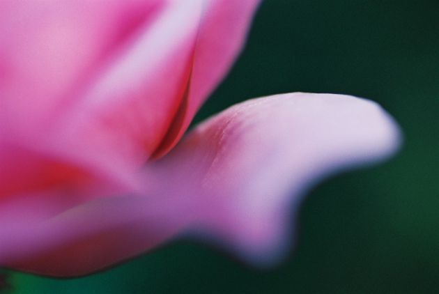 Dieses Bild ist eine Auswahl für die gallery von Renate Holthaus.