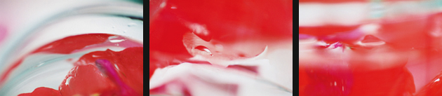Diese 3 Bilder unterstützen das rote Kleid von Renate Holthaus